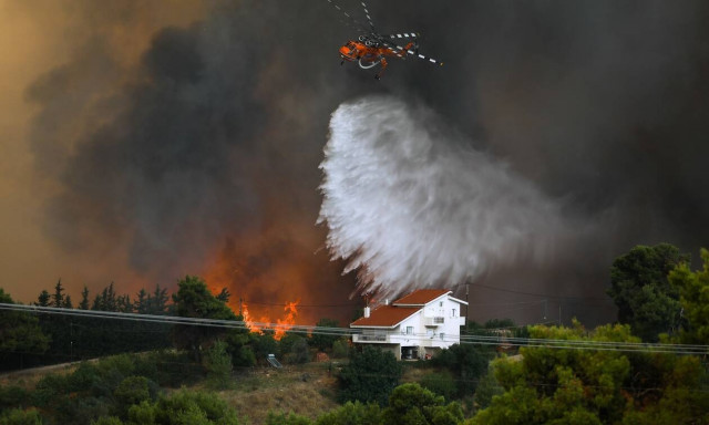 Φωτιά στο Κρυονέρι: Συνελήφθη 43χρονος για εμπρησμό - Οδηγείται στον Εισαγγελέα