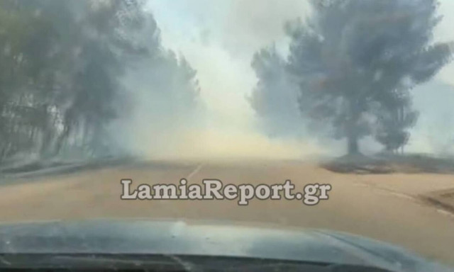 Φωτιά στον Θεολόγο Φθιώτιδας: Συγκλονιστικό βίντεο από την εκκένωση