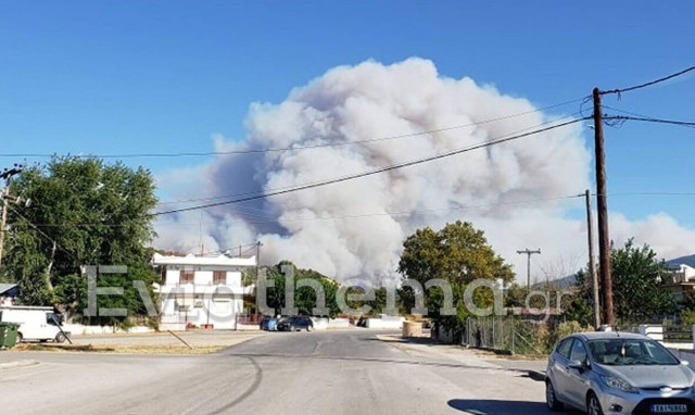 Φωτιά στην Εύβοια: Tεράστιο σύννεφο καπνού στο Πευκί - Συγκλονιστικές εικόνες (pics - vid)
