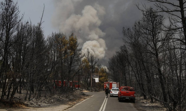 Αττική: Ο δρόμος της φωτιάς - Το χρονικό μιας ιστορικής καταστροφής που «μαύρισε» τις ψυχές μας