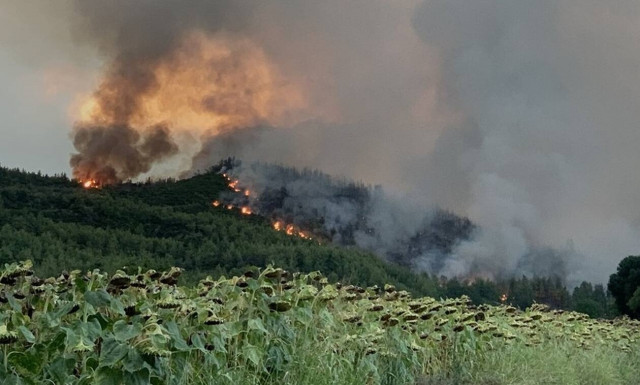 Φωτιά στην Εύβοια: «Θα καούμε ζωντανοί στην Ιστιαία, οι φλόγες μας περικύκλωσαν», λένε οι κάτοικοι