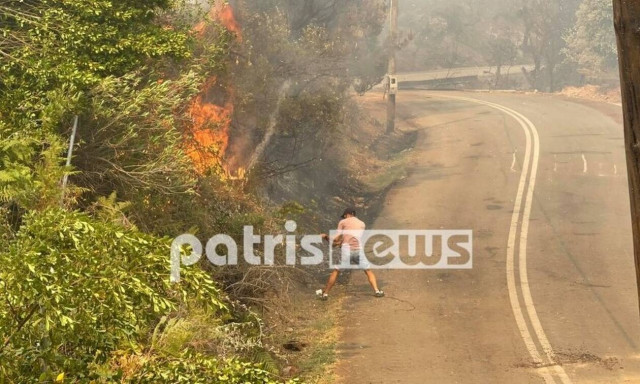 Φωτιά ΤΩΡΑ στην Ηλεία