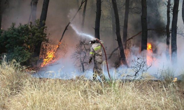 Φωτιές: Η συνολική βοήθεια της ΕΕ προς την Ελλάδα