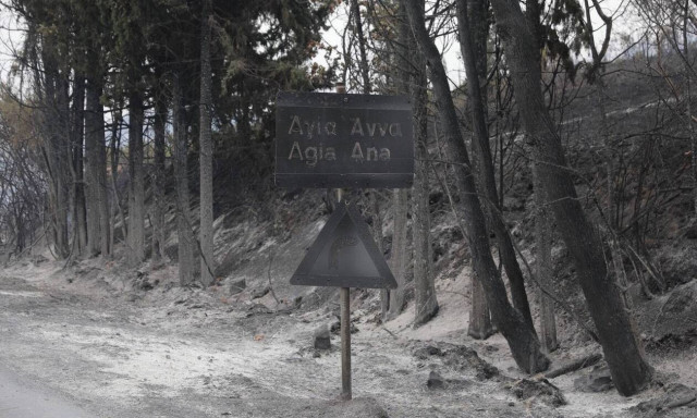 Σπύρος Ψαρούδας: Φοβάμαι για την ανατροπή των ισορροπιών του οικοσυστήματος