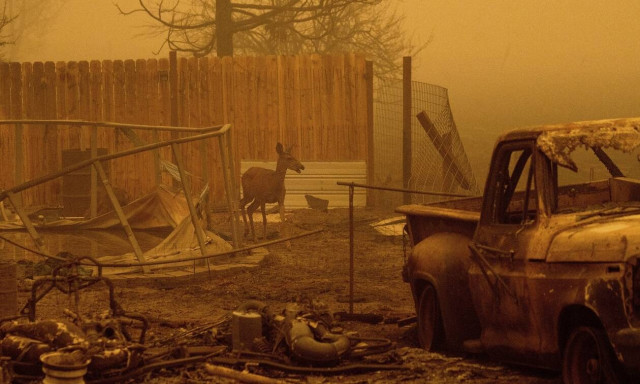 ΗΠΑ: Σαββατοκύριακο τρόμου στις δυτικές πολιτείες λόγω των ανεξέλεγκτων πυρκαγιών