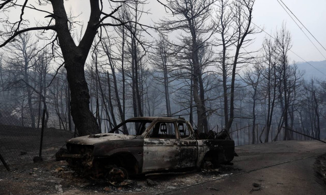 Καταγγελίες Πατούλη για εμπρησμούς: Δεν είναι τυχαία, υπάρχει σχέδιο- Γκαζάκια στο πάρκο Τρίτση