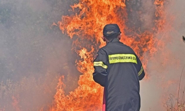 Φωτιά στη Λακωνία: Μάχη στη δύσβατη περιοχή της Δεσφίνας για τους πυροσβέστες