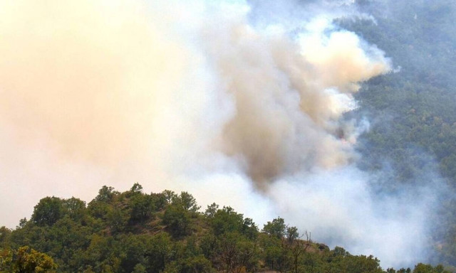 Φωτιά στα Γρεβενά: Σε ύφεση το πύρινο μέτωπο