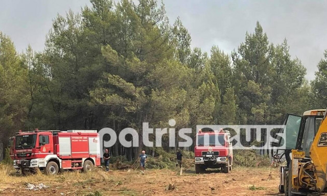 Φωτιά στην Ηλεία: Αναζωπύρωση στη Νεμούτα - Όλοι στη «μάχη» για μία ακόμη μέρα