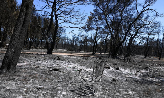 Φωτιές στην Ελλάδα: Τι πρέπει να γίνει μετά τις πυρκαγιές σύμφωνα με το ΑΠΘ