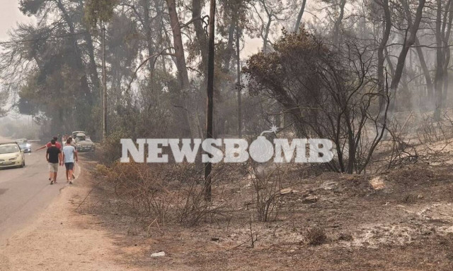 Φωτιά στην Εύβοια: Κρανίου τόπος το Πευκί - Οδοιπορικό του Newsbomb.gr