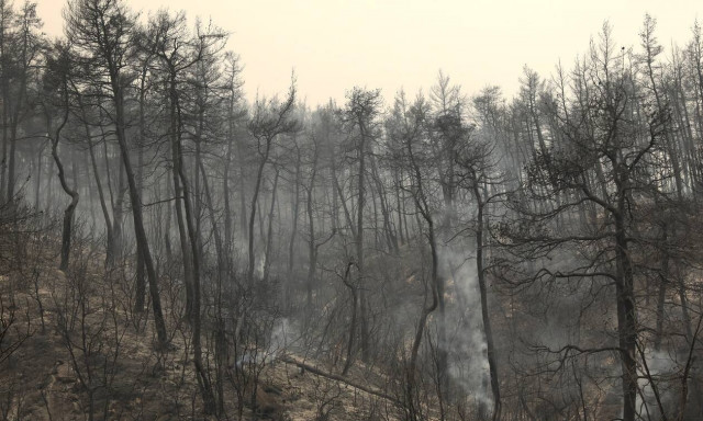 Κριτική, αυτοκριτική αλλά πάνω απ’ όλα αποφάσεις