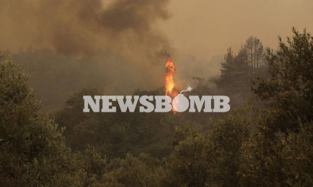 Φωτιά στην Εύβοια: Μεγάλες αναζωπυρώσεις σε Αβγαριά και Γαλατσώνα