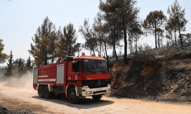 Θεσσαλονίκη - Φωτιά: Εμπρησμούς στο Δήμο Θέρμης καταγγέλλει ο δήμαρχος