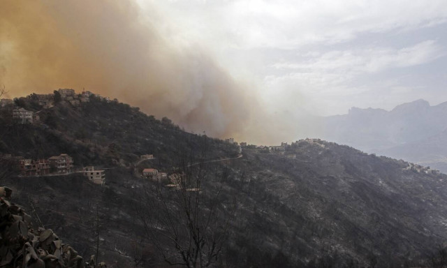 Αλγερία πυρκαγιές