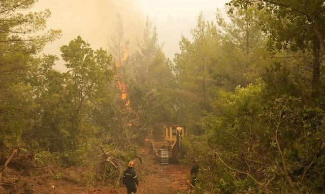 Φωτιές στην Ελλάδα: Ξεκίνησαν εισαγγελική έρευνα και συλλογή στοιχείων για το ενδεχόμενο εμπρησμών