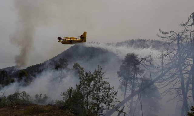 Φωτιά στην Ηλεία: Αναζωπυρώσεις σε τρεις περιοχές του Δήμου Αρχαίας Ολυμπίας