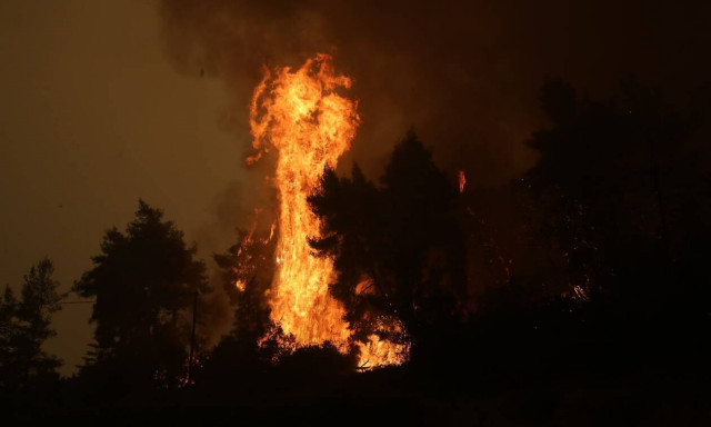 Φωτιά στη Γορτυνία: Ανατριχιαστική έκκληση για βοήθεια στο Πυρρί - «Ελάτε τώρα, καιγόμαστε»
