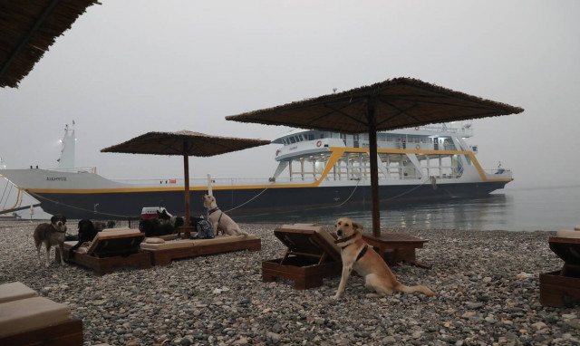 Φωτιές στην Ελλάδα: Τα μέτρα στήριξης για τον τουρισμό των πυρόπληκτων περιοχών