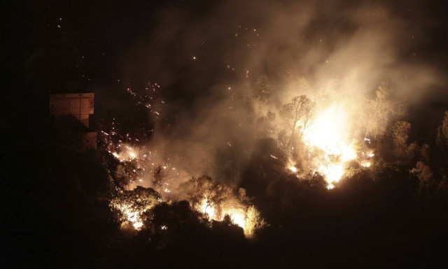 Αλγερία: Τουλάχιστον 69 οι νεκροί από τις πυρκαγιές