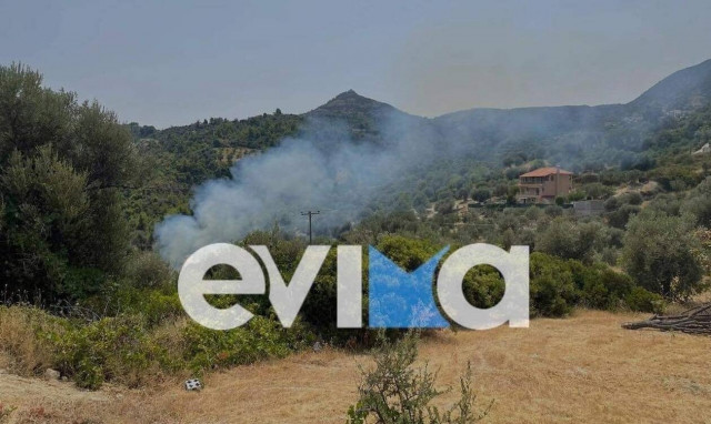 Φωτιά στην Εύβοια: Νέα εστία σε δασική έκταση στην Πλατάνα