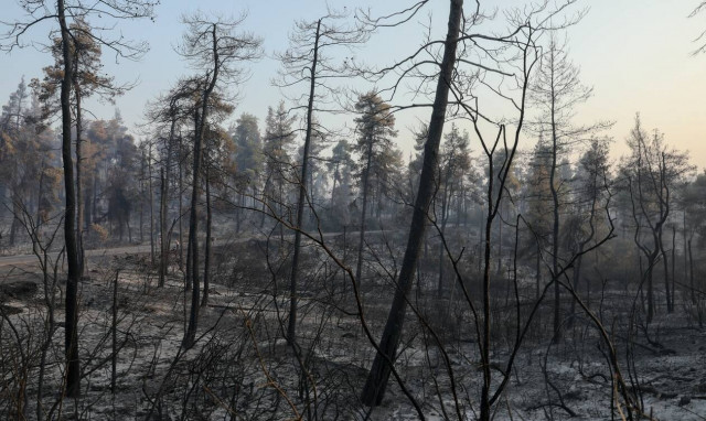 Αρχηγός πυροσβεστικής - Φωτιά στην Αρκαδία: Η φωτιά κινείται έρπουσα, δεν έχουμε δυνατό μέτωπο