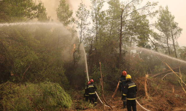 Φωτιά στην Εύβοια: Μαίνονται τα πύρινα μέτωπα - Μάχη με τις αναζωπυρώσεις
