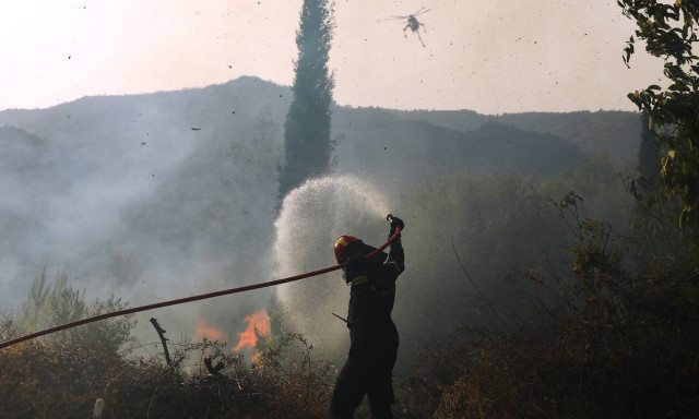 Χαλκιδική: Υπό έλεγχο η φωτιά σε δασική έκταση στη περιοχή Βουρβουρού