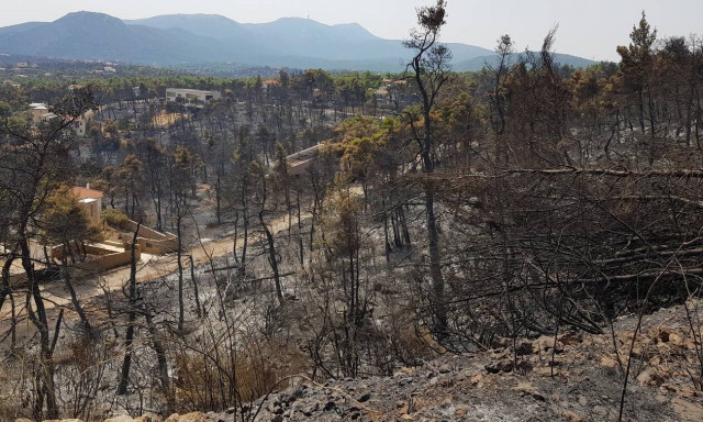 EFFIS: Πάνω από ένα εκατ. στρέμματα κάηκαν μέσα σε 2 εβδομάδες στην Ελλάδα