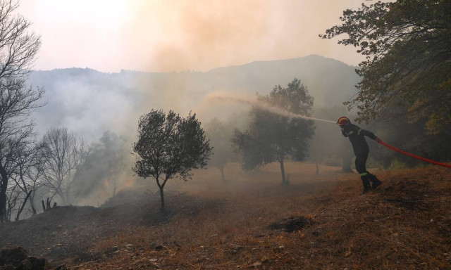 Φωτιά ΤΩΡΑ στη Σιθωνία Χαλκιδικής - Καίει δασική έκταση