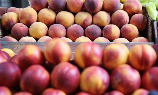 «Επιχείρηση Κλοιός»: Φοροδιαφυγή 625 τόνων από κύκλωμα στο εμπόριο ροδάκινων