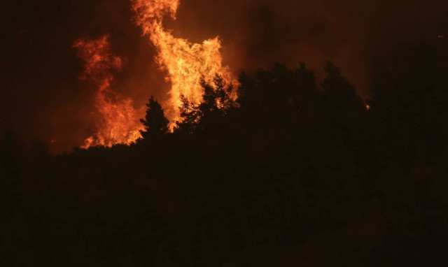 Συναγερμός στην Πυροσβεστική: Φωτιά στις Αφίδνες - Τέθηκε υπό έλεγχο