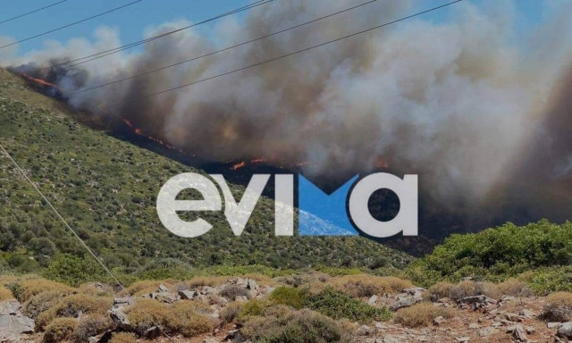 Φωτιά ΤΩΡΑ: Μεγάλη πυρκαγια στα Μεσοχώρια Καρύστου