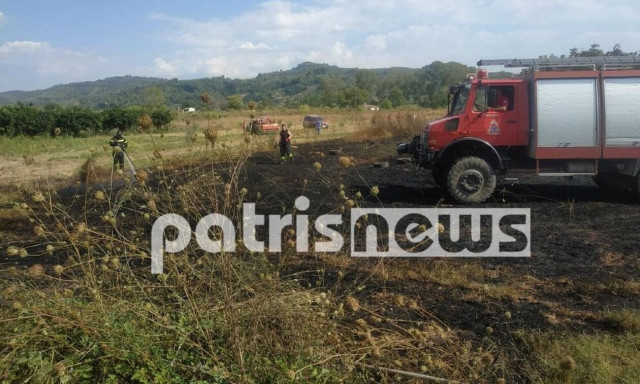 Φωτιά ΤΩΡΑ στην Αρχαία Ολυμπία - Πρόλαβαν τα χειρότερα οι πυροσβεστικές δυνάμεις