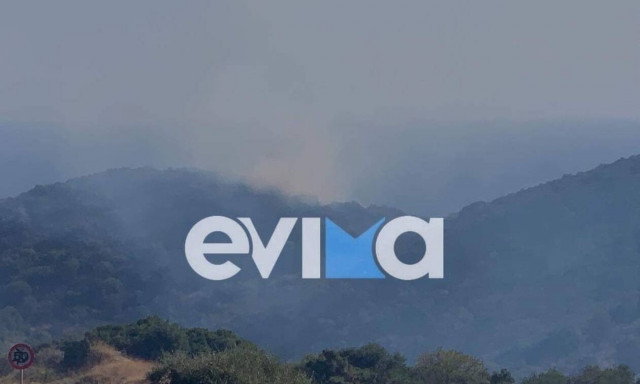 Φωτιά ΤΩΡΑ στις Πετριές Εύβοιας – Συναγερμός στην πυροσβεστική