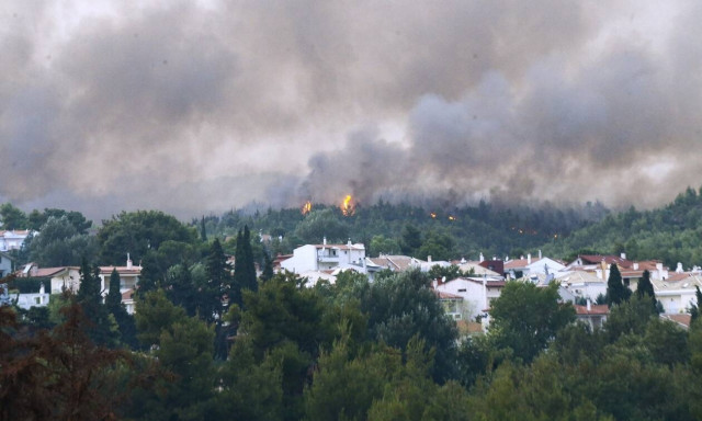 Αυτό είναι το εθνικό σχέδιο αναδασώσεων: Πώς θα ξαναγίνουν πράσινα 500.000 στρέμματα καμένων
