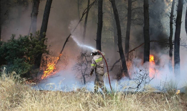 Φωτιά ΤΩΡΑ στο Ροδοτόπι Ιωαννίνων