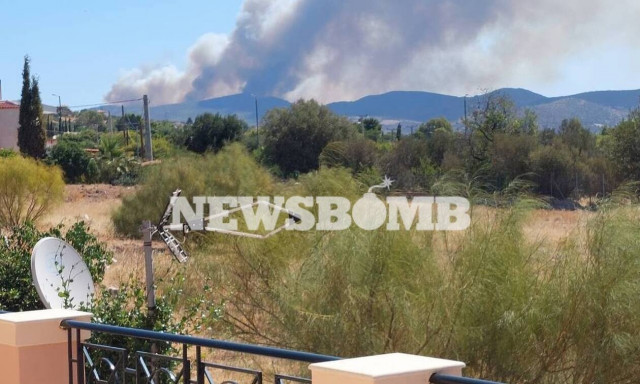 Fire breaks out near Lavrio, Attica