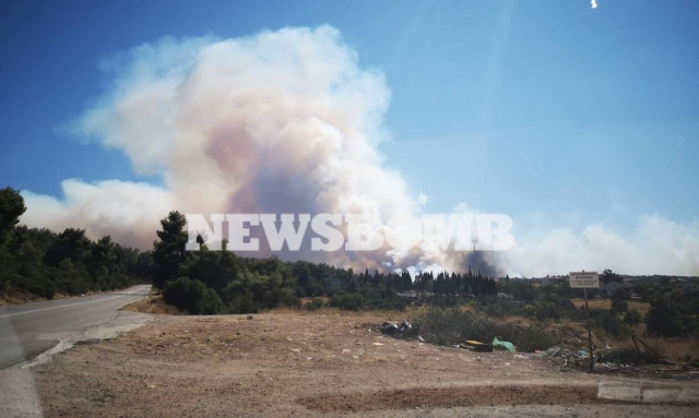 Φωτιές - Πατούλης: Χρειάζονται περισσότερα εναέρια μέσα στα Βίλια - Επεκτείνεται γοργά το μέτωπο