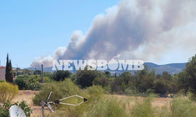Δήμαρχος Σαρωνικού στο Newsbomb.gr για φωτιά Κερατέα: Πρόβλημα αν φτάσει στον Εθνικό Δρυμό Σουνίου