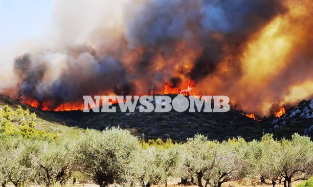 Φωτιά στην Κερατέα: Ανεξέλεγκτο το μέτωπο