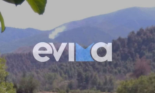 Φωτιά ΤΩΡΑ στην Εύβοια: Αναζωπύρωση στο Τρούπι -  Στο σημείο ισχυρές δυνάμεις της Πυροσβεστικής