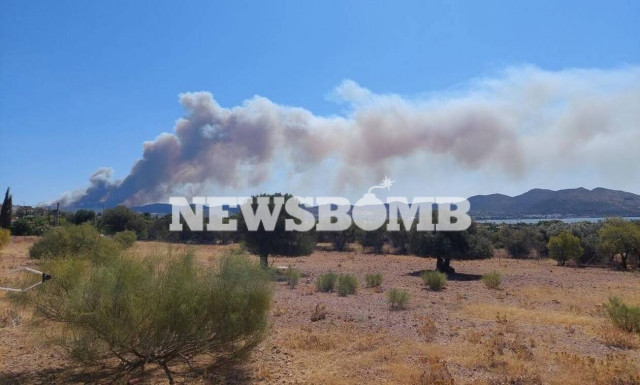 Φωτιά στην Κερατέα