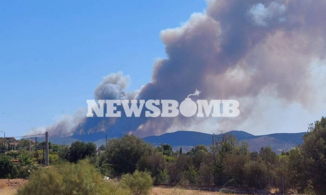 Φωτιά ΤΩΡΑ στη Λαυρεωτική - Στα πρώτα σπίτια οι φλόγες, εκκενώνεται ο οικισμός Μαρκάτι