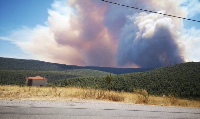 Εκπρόσωπος ΕΛ.ΑΣ: «21 συλλήψεις για εμπρησμούς - Εξετάζονται όλα τα ενδεχόμενα για Βίλια, Κερατέα»