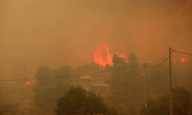 Φωτιές στην Ελλάδα: Στο πλευρό των πυρόπληκτων ο ΠΣΑΠ - Απέστειλε τρόφιμα και ζωοτροφές
