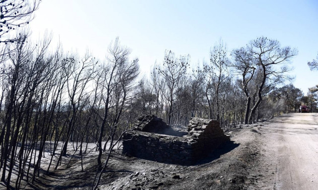 Πατούλης: Μεγάλες οι περιβαλλοντικές καταστροφές στην Αττική – Ανοιχτό το ενδεχόμενο εμπρησμού