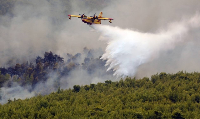 Φωτιά στα Βίλια: Άνιση μάχη σε πολλά μέτωπα - Εκκενώθηκαν δύο οικισμοί