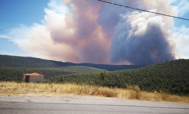 Ρεπορτάζ Newsbomb.gr: Καταγγελία εθελοντριών - «Δεν σβήνανε τη φωτιά, ήταν στην αλλαγή βάρδιας»