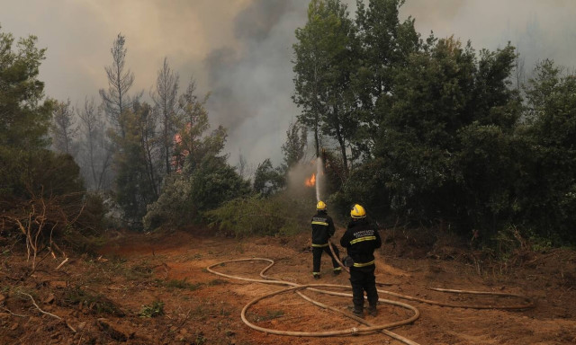 Φωτιές εύβοια